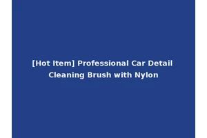 [Hot Item] Professional Car Detail Cleaning Brush with Nylon