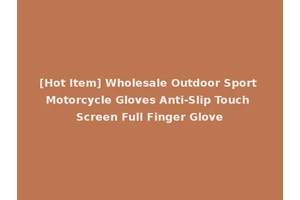 [Hot Item] Wholesale Outdoor Sport Motorcycle Gloves Anti-Slip Touch Screen Full Finger Glove