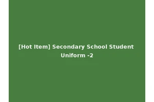 [Hot Item] Secondary School Student Uniform -2