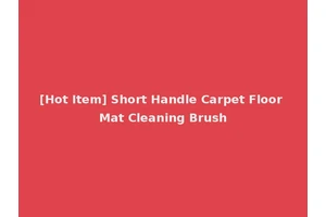 [Hot Item] Short Handle Carpet Floor Mat Cleaning Brush