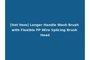 [Hot Item] Longer Handle Wash Brush with Flexible PP Wire Splicing Brush Head
