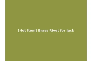[Hot Item] Brass Rivet for Jack