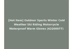[Hot Item] Outdoor Sports Winter Cold Weather Ski Riding Motorcycle Waterproof Warm Gloves (62200077)