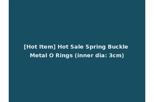 [Hot Item] Hot Sale Spring Buckle Metal O Rings (inner dia: 3cm)