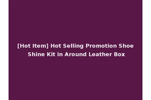 [Hot Item] Hot Selling Promotion Shoe Shine Kit in Around Leather Box