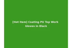 [Hot Item] Coating PU Top Work Gloves in Black