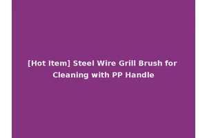 [Hot Item] Steel Wire Grill Brush for Cleaning with PP Handle