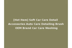 [Hot Item] Soft Car Care Detail Accessories Auto Care Detailing Brush OEM Brand Car Care Washing