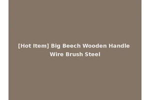 [Hot Item] Big Beech Wooden Handle Wire Brush Steel