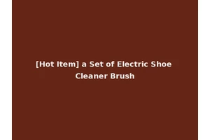 [Hot Item] a Set of Electric Shoe Cleaner Brush