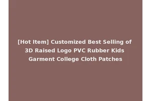 [Hot Item] Customized Best Selling of 3D Raised Logo PVC Rubber Kids Garment College Cloth Patches