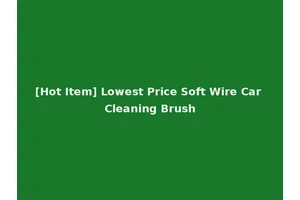 [Hot Item] Lowest Price Soft Wire Car Cleaning Brush