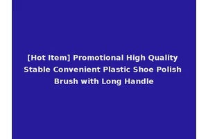 [Hot Item] Promotional High Quality Stable Convenient Plastic Shoe Polish Brush with Long Handle