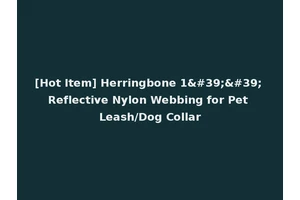[Hot Item] Herringbone 1'' Reflective Nylon Webbing for Pet Leash/Dog Collar