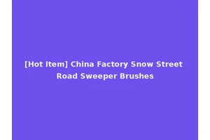 [Hot Item] China Factory Snow Street Road Sweeper Brushes