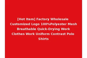 [Hot Item] Factory Wholesale Customized Logo 100%Polyester Mesh Breathable Quick-Drying Work Clothes Work Uniform Contrast Polo Shirts
