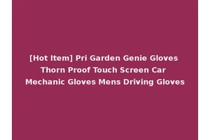 [Hot Item] Pri Garden Genie Gloves Thorn Proof Touch Screen Car Mechanic Gloves Mens Driving Gloves