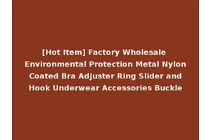 [Hot Item] Factory Wholesale Environmental Protection Metal Nylon Coated Bra Adjuster Ring Slider and Hook Underwear Accessories Buckle