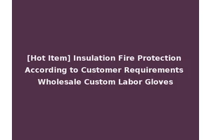 [Hot Item] Insulation Fire Protection According to Customer Requirements Wholesale Custom Labor Gloves