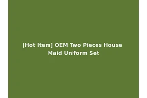 [Hot Item] OEM Two Pieces House Maid Uniform Set