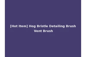 [Hot Item] Hog Bristle Detailing Brush Vent Brush