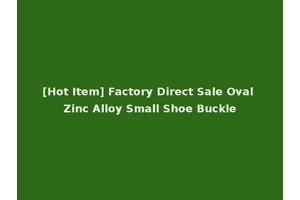 [Hot Item] Factory Direct Sale Oval Zinc Alloy Small Shoe Buckle