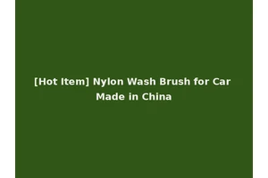 [Hot Item] Nylon Wash Brush for Car Made in China