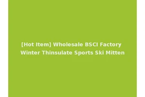 [Hot Item] Wholesale BSCI Factory Winter Thinsulate Sports Ski Mitten