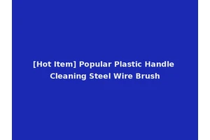 [Hot Item] Popular Plastic Handle Cleaning Steel Wire Brush