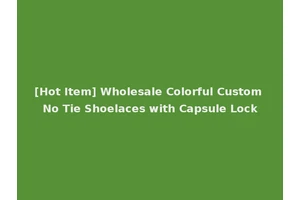 [Hot Item] Wholesale Colorful Custom No Tie Shoelaces with Capsule Lock