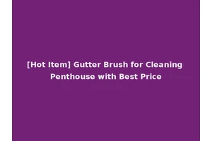 [Hot Item] Gutter Brush for Cleaning Penthouse with Best Price