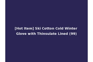 [Hot Item] Ski Cotton Cold Winter Glove with Thinsulate Lined (99)