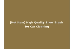 [Hot Item] High Quality Snow Brush for Car Cleaning