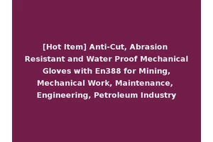 [Hot Item] Anti-Cut, Abrasion Resistant and Water Proof Mechanical Gloves with En388 for Mining, Mechanical Work, Maintenance, Engineering, Petroleum Industry