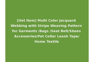 [Hot Item] Multi Color Jacquard Webbing with Stripe Weaving Pattern for Garments /Bags /Seat Belt/Shoes Accessories/Pet Collar Leash Tape/Home Textile