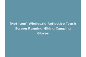 [Hot Item] Wholesale Reflective Touch Screen Running Hiking Camping Gloves