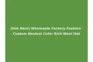[Hot Item] Wholesale Factory Fashion Custom Neutral Color Rich Wool Hat