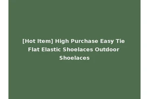 [Hot Item] High Purchase Easy Tie Flat Elastic Shoelaces Outdoor Shoelaces
