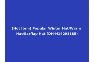 [Hot Item] Popular Winter Hat/Warm Hat/Earflap Hat (DH-H14291185)