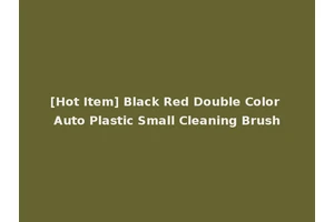 [Hot Item] Black Red Double Color Auto Plastic Small Cleaning Brush