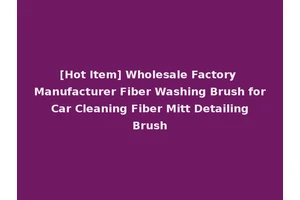 [Hot Item] Wholesale Factory Manufacturer Fiber Washing Brush for Car Cleaning Fiber Mitt Detailing Brush