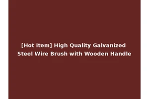 [Hot Item] High Quality Galvanized Steel Wire Brush with Wooden Handle