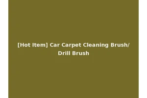 [Hot Item] Car Carpet Cleaning Brush/Drill Brush