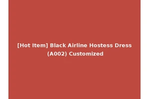 [Hot Item] Black Airline Hostess Dress (A002) Customized