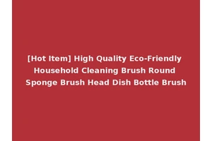 [Hot Item] High Quality Eco-Friendly Household Cleaning Brush Round Sponge Brush Head Dish Bottle Brush