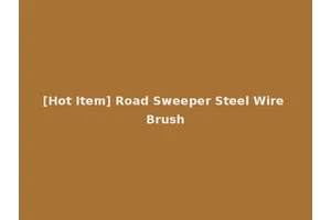 [Hot Item] Road Sweeper Steel Wire Brush