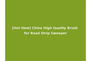 [Hot Item] China High Quality Brush for Road Strip Sweeper