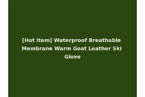 [Hot Item] Waterproof Breathable Membrane Warm Goat Leather Ski Glove