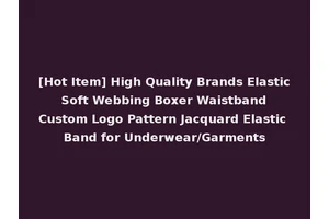 [Hot Item] High Quality Brands Elastic Soft Webbing Boxer Waistband Custom Logo Pattern Jacquard Elastic Band for Underwear/Garments