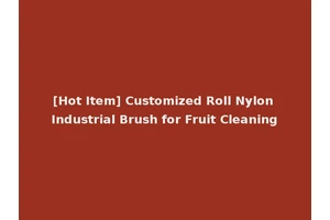 [Hot Item] Customized Roll Nylon Industrial Brush for Fruit Cleaning